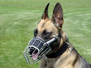 Wire Basket Dog Muzzles for police dogs