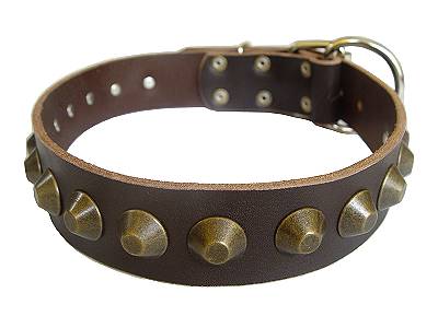 Gorgeous Wide Leather Dog Collar - Brown