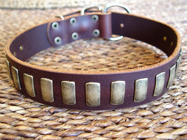 Gorgeous Wide Leather Dog Collar With Plates