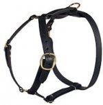 Similar Lupine adjustable dog harness for schutzhund dogs