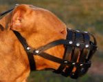 Everyday Light Weight Ventilation muzzle- large leather muzzle