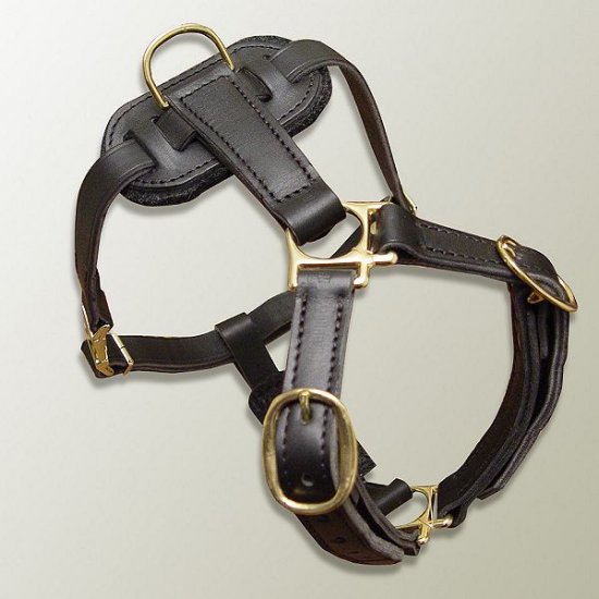 dog harness luxury