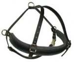 Quality Padded Pulling Harness for dog