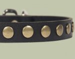 Studded Leather Dog Collar with Circles