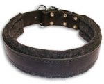 BUY 1.5 inch Leather Collar for police dogs