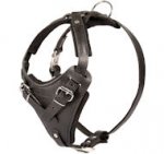 Black Leather Dog Harness for schutzhund dogs