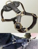 Looking for Leather tracking harnesses for Schutzhund