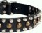 Custom Studded Leather Dog Collar for police dogs