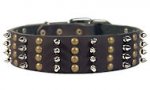 Police dogs Spike Studded Collar/2 2/5 inch wide Leather Studs collar