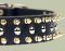 Black Leather Spiked Studded Dog Collar for DOG