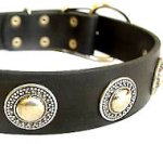 Deluxe Leather Dog Collar with jewelry for schutzhund dogs