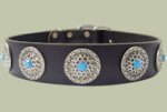 Leather Designer dog collar for All Breeds