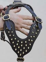 Custom Brass leather spiked dog harness-Leather Dog Body Harness