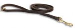 Fashion Leather Belt Leash - 1/2 inch wide leash for TRACKING