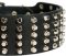 Pyramid Studs on Leather Dog Collar for DOG