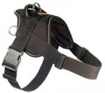 Looking for EzyDog Harness for schutzhund dogs