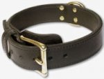 Leather Working Dog Collar for DOG - 2 ply leather collar