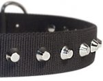 1 Row Studs Dog Collar-1 1/4" for schutzhund dogs