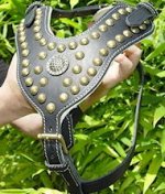 Royal Dog Harness - Exclusive Design Studded Leather Harness