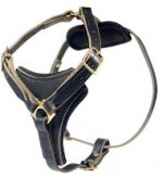 2-ply Latigo Leather Harness for schutzhund dogs