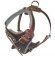 DOG adjustable dog harness - H1