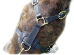 Ultimate Tracking Harness for Dog