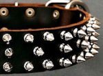 Protector Full Spiked Latigo Dog Collar for police dogs