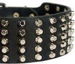 Pyramid Studs on Leather Dog Collar for DOG