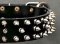 Canine Deluxe Spiked Leather Dog Collar for police dogs