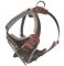 K9 Pro Leather Dog Harness for DOG