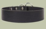 2 inch wide All Weather Collar for police dogs-Leather Collar