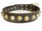 Gorgeous Wide Leather Dog Collar With Brass Pyramids