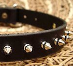 Small Spiked Dog Collar for DOG puppy
