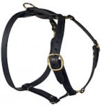 Classic Leather Harness For Big Dogs-all dogs harness