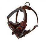Comfort Padded Dog Harness for DOG