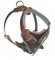 Medium dog Harness for Dog -Leather Harness