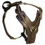 Padded Dog Harness H10