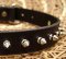 Small Spiked Dog Collar for DOG puppy