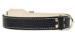 Riveted Leather Dog Collar for DOG