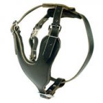 Heavy Duty Dog Harness for tracking/pulling for dogs