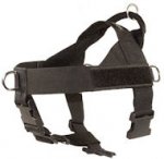 Nylon Companion Safety Harness for police dogs