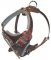 Dog Body Harness for DOG-BEST Leather Dog Harness