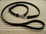 K9 Police / hunting" dog leash and collar (combo)