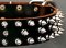 Protector Full Spiked Latigo Dog Collar for police dogs