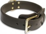 Plain Tough Leather Dog Collar for all dogs