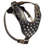 Exquisite Studded Leather Dog Harness with Pyramids