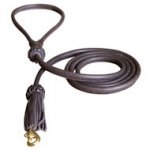 Rolled Leather Dog Lead 2 Foot Long Round Leash for all dogs