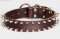 Leather Spiked Dog Collar- 2 Rows of spikes collar for all dogs