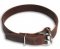 Leather Collar 1 inch wide for Schutzhund And Sport