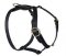 SENSATION Dog Harness for DOG walking